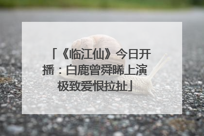 《临江仙》今日开播：白鹿曾舜晞上演极致爱恨拉扯