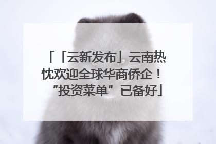 「云新发布」云南热忱欢迎全球华商侨企！“投资菜单”已备好
