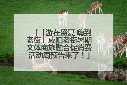 「游在盛夏 嗨到老街」咸阳老街暑期文体商旅融合促消费活动周预告来了！