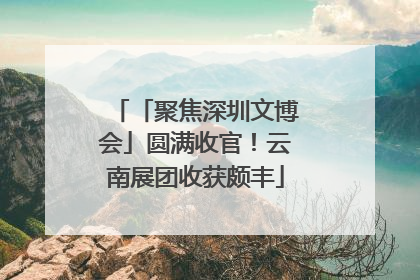 「聚焦深圳文博会」圆满收官！云南展团收获颇丰
