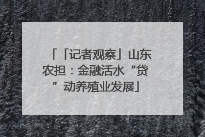 「记者观察」山东农担：金融活水“贷”动养殖业发展