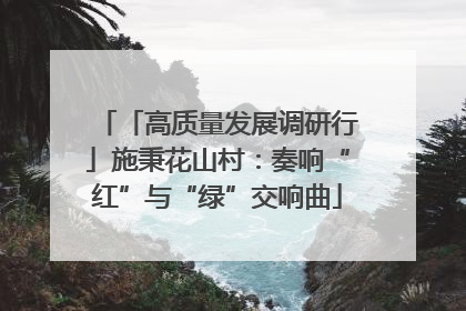 「高质量发展调研行」施秉花山村：奏响“红”与“绿”交响曲