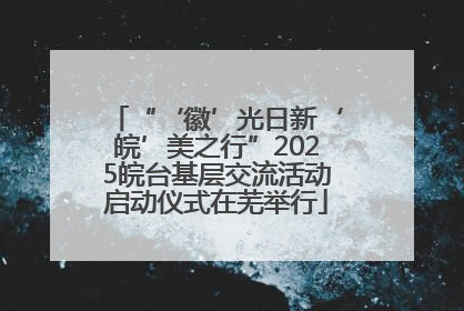 “‘徽’光日新‘皖’美之行”2025皖台基层交流活动启动仪式在芜举行