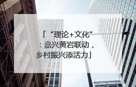 “理论+文化”：嘉兴黄岩联动，乡村振兴添活力