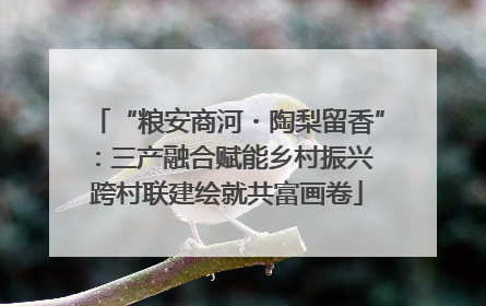 “粮安商河・陶梨留香”：三产融合赋能乡村振兴 跨村联建绘就共富画卷