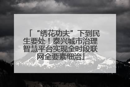 “绣花功夫”下到民生要处！泰兴城市治理智慧平台实现全时段联网全要素细治