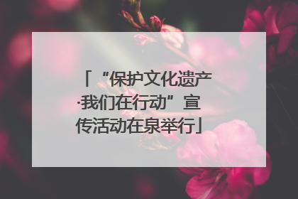 “保护文化遗产·我们在行动”宣传活动在泉举行