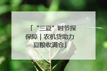 “三夏”时节探保障｜农机贷助力夏粮收满仓