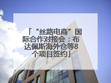 “丝路电商”国际合作对接会：布达佩斯海外仓等8个项目签约