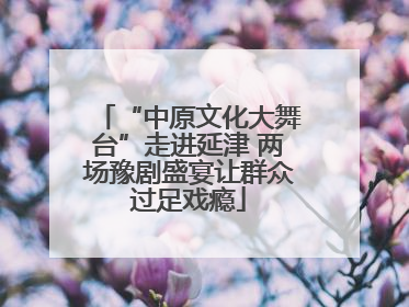 “中原文化大舞台”走进延津 两场豫剧盛宴让群众过足戏瘾