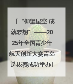 “仰望星空 成就梦想”——2025年全国青少年航天创新大赛青岛选拔赛成功举办