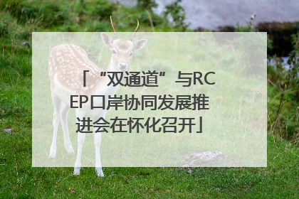 “双通道”与RCEP口岸协同发展推进会在怀化召开