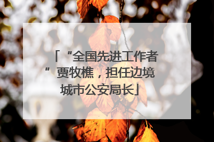 “全国先进工作者”贾牧樵，担任边境城市公安局长
