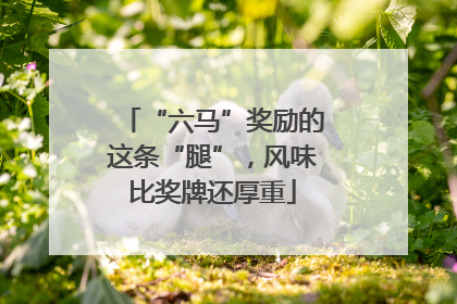 “六马”奖励的这条“腿”，风味比奖牌还厚重