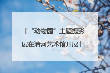 “动物园”主题摄影展在清河艺术馆开展