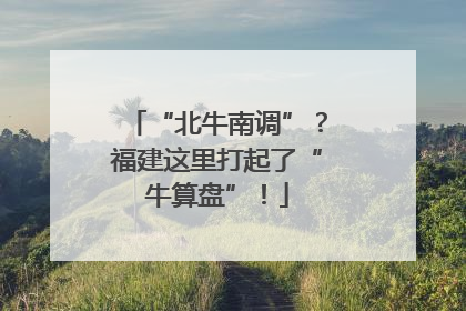 “北牛南调”？福建这里打起了“牛算盘”！