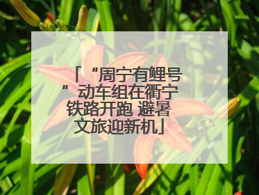 “周宁有鲤号”动车组在衢宁铁路开跑 避暑文旅迎新机