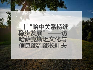 “哈中关系持续稳步发展”——访哈萨克斯坦文化与信息部副部长叶夫根尼·科切托夫