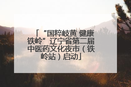 “国粹岐黄 健康铁岭”辽宁省第二届中医药文化夜市（铁岭站）启动