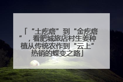 “土疙瘩”到“金疙瘩”，看肥城旅店村生姜种植从传统农作到“云上”热销的蝶变之路