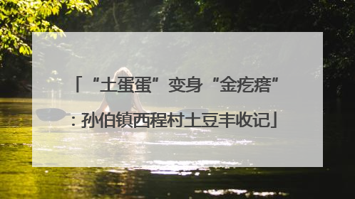 “土蛋蛋”变身“金疙瘩”：孙伯镇西程村土豆丰收记