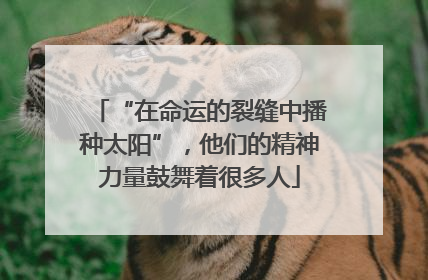“在命运的裂缝中播种太阳”，他们的精神力量鼓舞着很多人