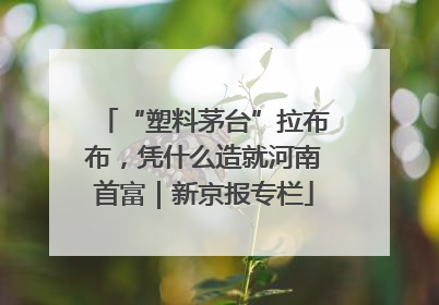 “塑料茅台”拉布布，凭什么造就河南首富｜新京报专栏