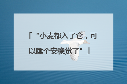 “小麦都入了仓，可以睡个安稳觉了”