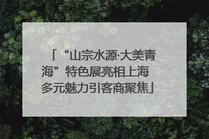 “山宗水源·大美青海”特色展亮相上海 多元魅力引客商聚焦