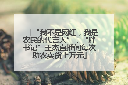 “我不是网红，我是农民的代言人”，“胖书记”王杰直播间每次助农卖货上万元