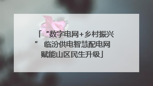 “数字电网+乡村振兴” 临汾供电智慧配电网赋能山区民生升级