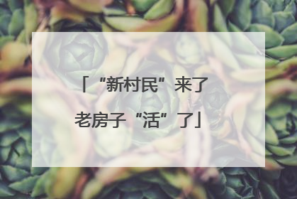“新村民”来了 老房子“活”了