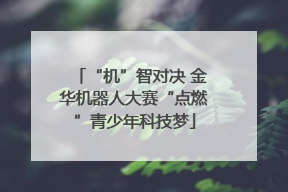 “机”智对决 金华机器人大赛“点燃”青少年科技梦