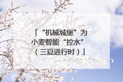 “机械城堡”为小麦智能“控水”（三夏进行时）