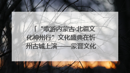 “歌游内蒙古·北疆文化神州行”文化盛典在忻州古城上演——蒙晋文化交融共谱文旅融合新篇