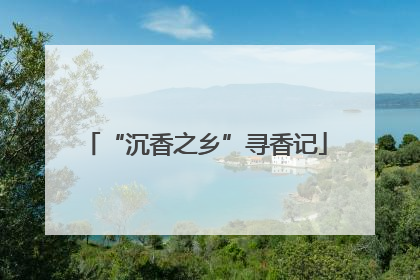 “沉香之乡”寻香记