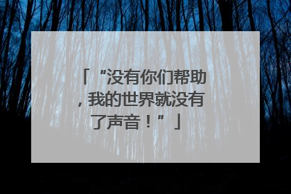 “没有你们帮助，我的世界就没有了声音！”
