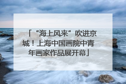 “海上风来”吹进京城！上海中国画院中青年画家作品展开幕