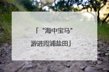 “海中宝马”游进霞浦盐田