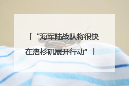 “海军陆战队将很快在洛杉矶展开行动”