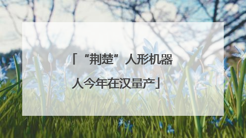 “荆楚”人形机器人今年在汉量产