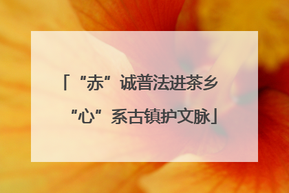 “赤”诚普法进茶乡 “心”系古镇护文脉