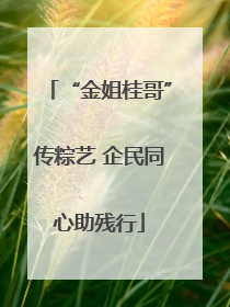 “金姐桂哥”传粽艺 企民同心助残行