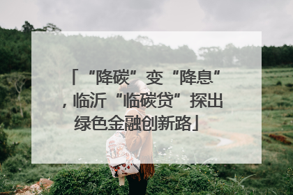 “降碳”变“降息”，临沂“临碳贷”探出绿色金融创新路