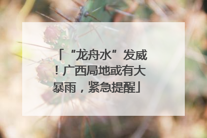 “龙舟水”发威！广西局地或有大暴雨，紧急提醒