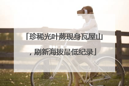 珍稀光叶蕨现身瓦屋山，刷新海拔最低纪录