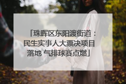 珠晖区东阳渡街道：民生实事人大票决项目落地 气排球赛点燃