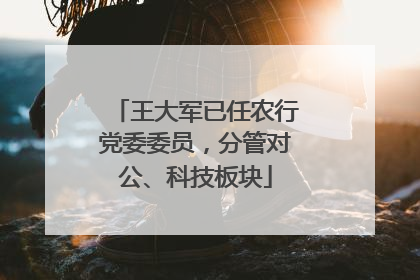 王大军已任农行党委委员，分管对公、科技板块