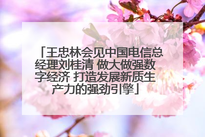 王忠林会见中国电信总经理刘桂清 做大做强数字经济 打造发展新质生产力的强劲引擎