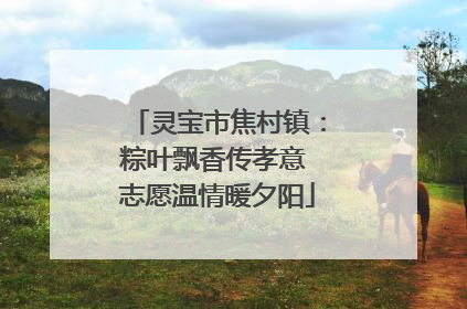 灵宝市焦村镇：粽叶飘香传孝意 志愿温情暖夕阳
